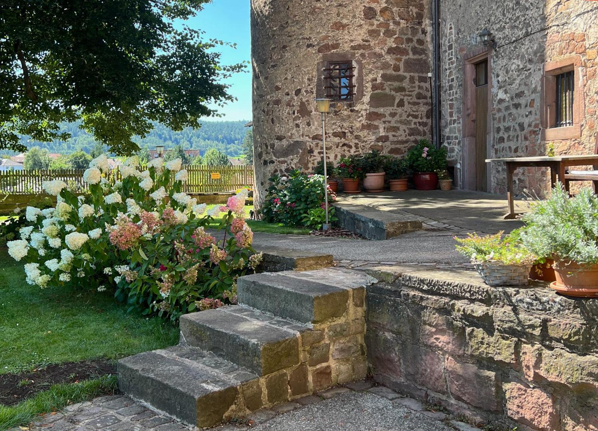 Graefin Amalia - Elegantes Apartment In Der Historischen Hinterburg In Schlitz, 2 Schlafzimmer, Mit Garten, Nahe Fulda Und Bad Hersfeld المظهر الخارجي الصورة